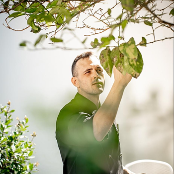 942245.jpg,w 350,h 350,c 1,q 100,fd 1,e